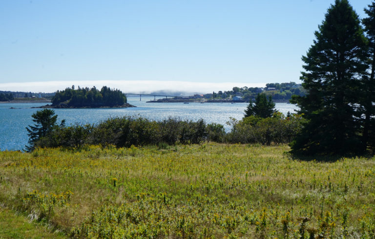 The view from Treat Island in Passamaquoddy Bay