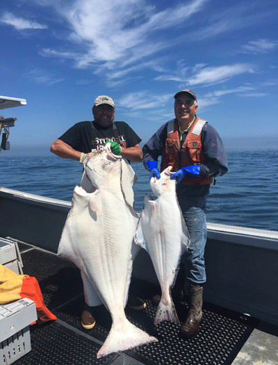 Halibut—a huge, thrilling, and tasty fish - Island Institute