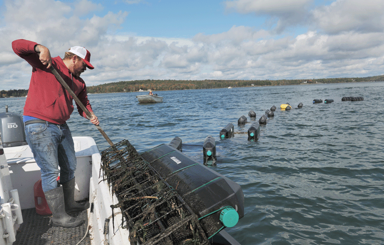 A selection of Mere Point Oyster Company’s products. PHOTO: COURTESY MERE POINT OYSTER COMPANY