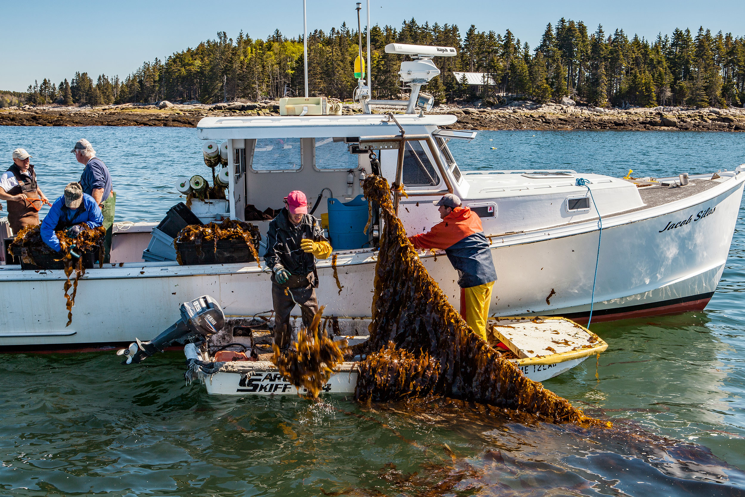 On-demand' lobster gear permitted - Island Institute