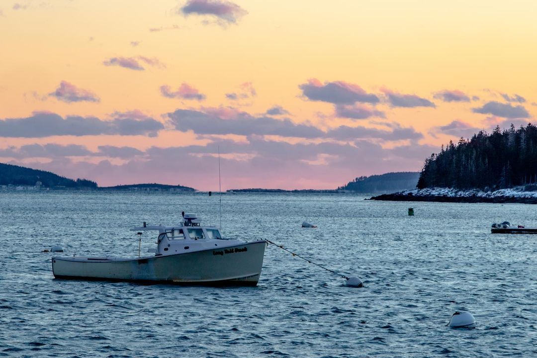 Reflections From The Maine Fishermen S Forum Island Institute   273371940 6947797848627141 7872822393788352349 N 