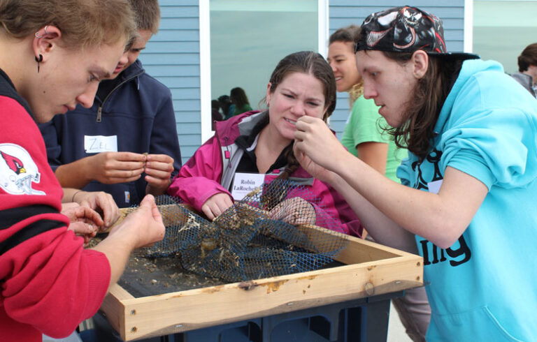 Skippers students participate in aquaculture research counting scallops in spat bags. The enthusiasm of the students for this hands-on research is obvious.