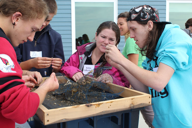 Skippers students participate in aquaculture research counting scallops in spat bags. The enthusiasm of the students for this hands-on research is obvious.