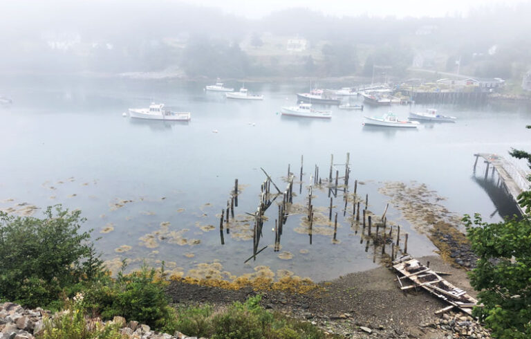 The fog lingers over Lunt Harbor. PHOTO: TOM GROENING