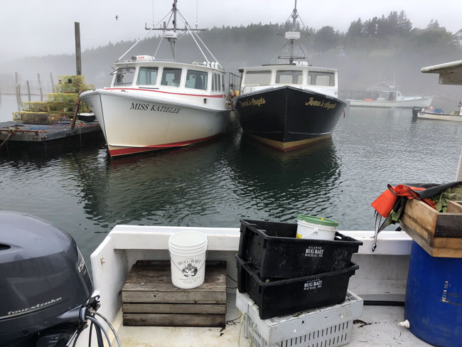 Boats in the harbor on Frenchboro. PHOTO: TOM GROENING