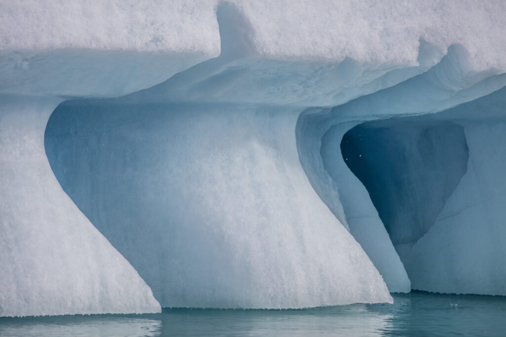 detail shot shapes in iceburg