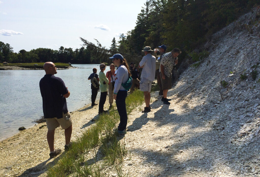 Workshop participants inspect a shell midden in the Damariscotta area