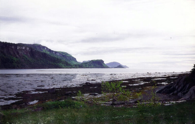 Newfoundland landscape with water and mountains