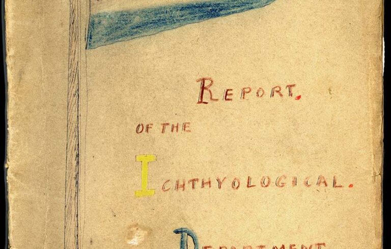 "Report of the Chthyological Department, 1880"