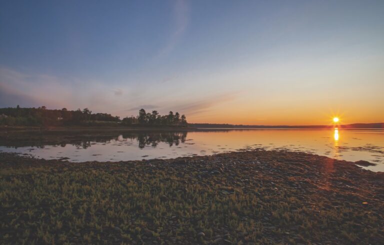 sunrise over grant's cove