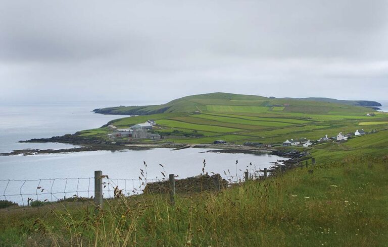 green coastal landscape