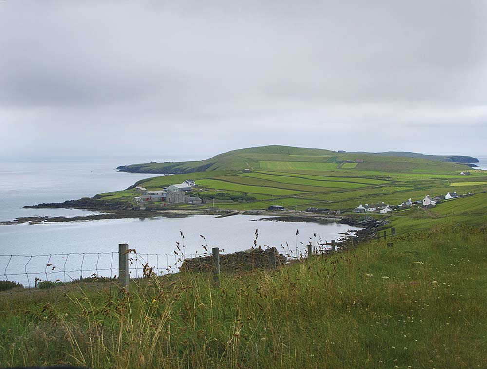 green coastal landscape