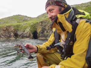 man holding small lobster