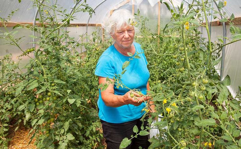 Kathie Iannicelli in her greenhouse on Monhegan