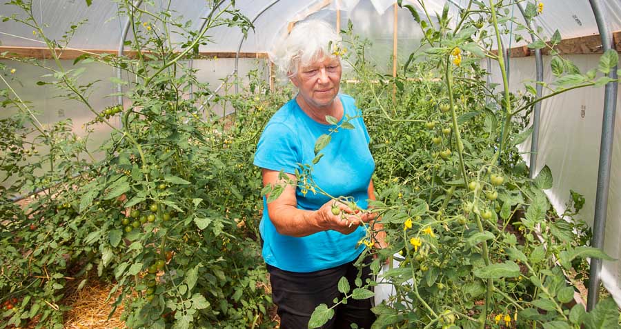 Kathie Iannicelli in her greenhouse on Monhegan