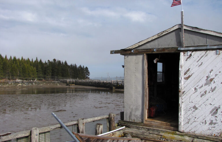 shack in harbor