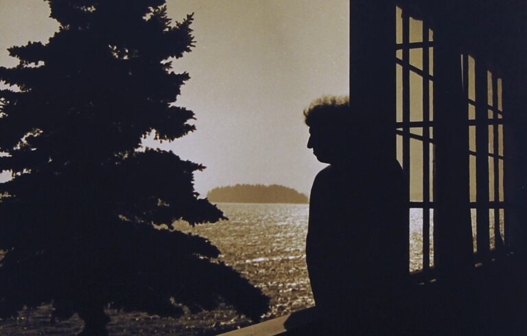 silhouette of man leaning on railing overlooking ocean