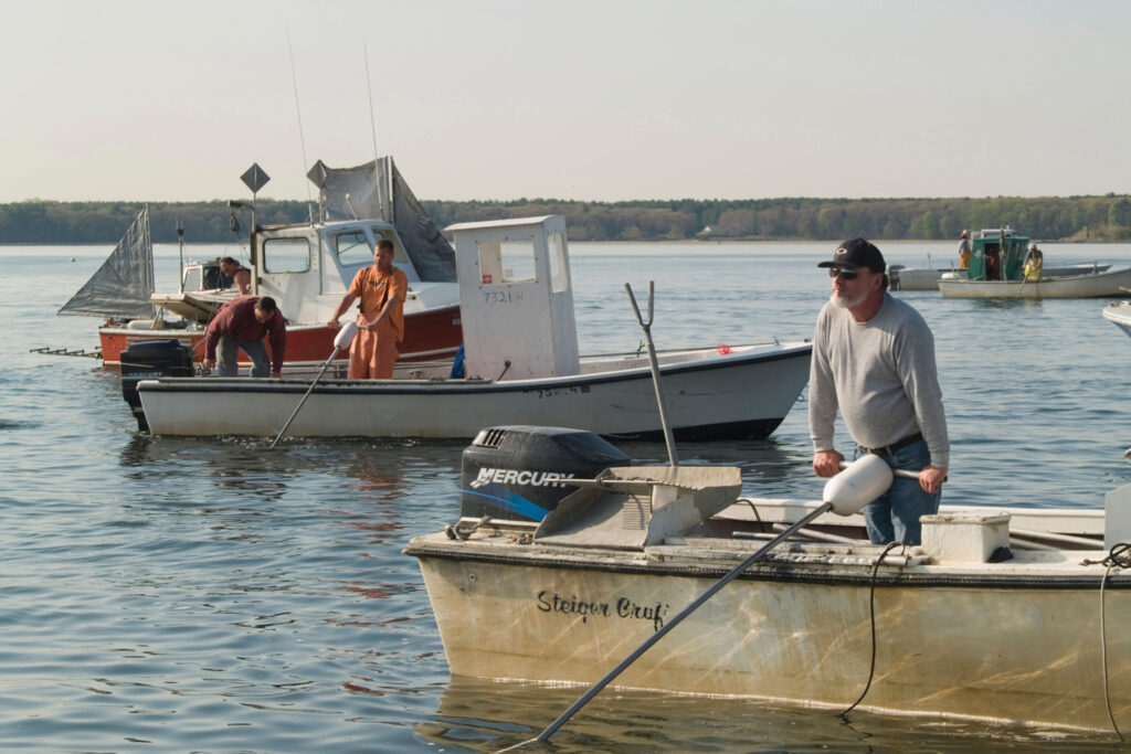 Quahog fishermen at work