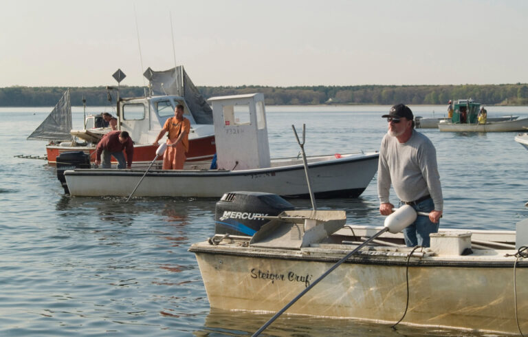 Quahog fishermen at work