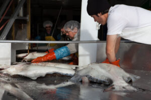 men washing fish