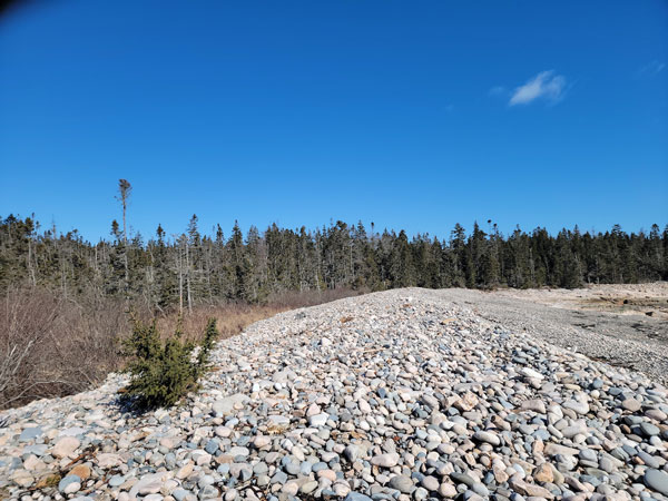 The stones at Sea Wall back up against a marshy area. PHOTO: CATHERINE SCHMITT