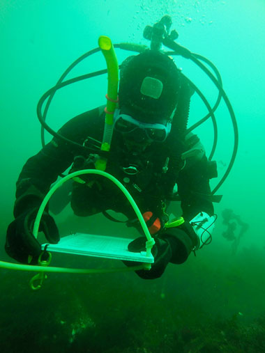 PHOTO: BRIAN SKERRY/COURTESY BIGELOW LABORATORY