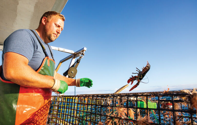 Man tosses lobster back into ocean