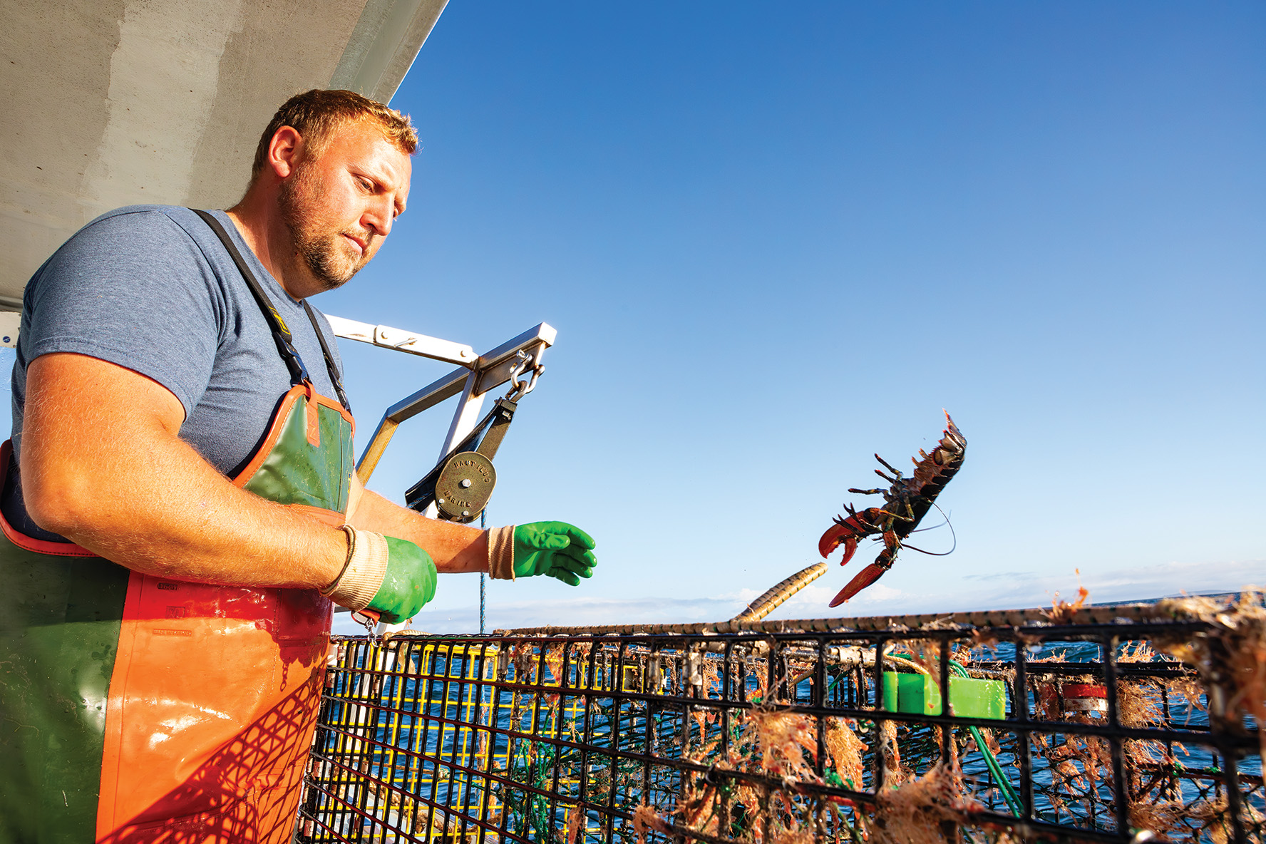 Man tosses lobster back into ocean