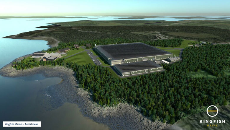 A rendering of what the fish plant in Jonesport would look like.