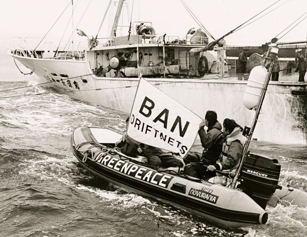 Greenpeace activists use a small inflatable boat in 1983 to harass a Japanese driftnetter in the Bering Sea.