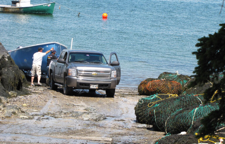 Harvested rockweed at a boat launch in Hancock. FILE PHOTO: TOM GROENING