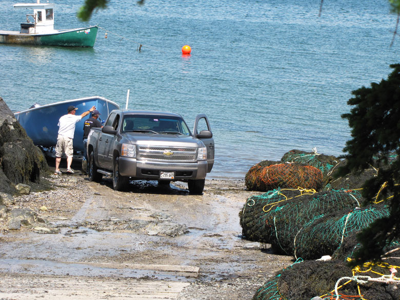 Harvested rockweed at a boat launch in Hancock. FILE PHOTO: TOM GROENING